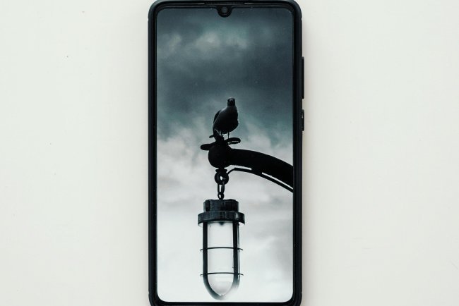 Buy or Sell Asus Mobile in Bangalore | Verified at Cashofone